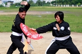 The fighting fan martial arts