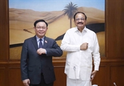 Việt Nam-Ấn Độ: Đối tác chiến lược toàn diện sâu sắc hơn