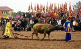 越南文化生活中的水牛