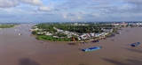 Resolución sobre el desarrollo del delta del Mekong: punto brillante desde la dirección favorable