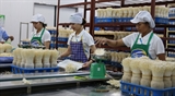 Hanoi desarrolla la industria de procesamiento de productos agrícolas