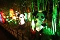 Panda, one of the “precious animals” of China.