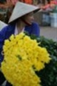 Hoa cúc là một trong những loại hoa bán chạy nhất chợ vào những ngày tuần.