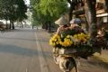 Hoa được đưa hoa vào thành phố (5 giờ sáng) 