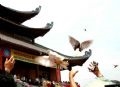 Liberando palomas después de la inauguración. Foto: Trong Chinh.