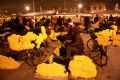 La noche del mercado de flores de Quang An antes de Tet.