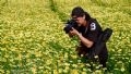 Красота овощной хризантемы является источником вдохновения для фотографов. (фото: Тат Шон)