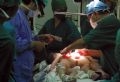 Медики готовятся к операции по разделению сиамских близнецов (октябрь 2003 года)