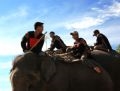 Une troupe de chasseurs d’éléphants est placée sous la direction d’un chef expérimenté.