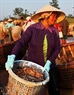 Les femmes sont les « piliers » des marchés, à Mui Ne comme ailleurs au Vietnam.