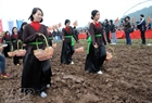 Young girls follow behind to sow seeds in the furrows.