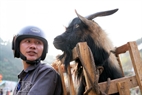  Ly Chau Phinh takes his goat back home after the competition.