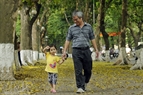 Abuelo y nieto pasean entre filas de árboles de sau. Foto: Cong Dat
