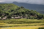 Harvested fields are ready for new cultivation. Photo: Viet Cuong 