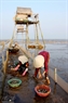 落潮时，他们又忙于养蛤工作。