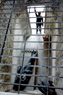 围栏“虎笼”监狱女囚犯监舍模型。