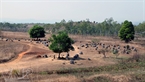 The Plain of Jars is located in Xieng Khuang Province, Laos.