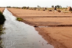 Nước biển - nguyên liệu chính để làm muối được đưa vào cánh đồng làm muối qua hệ thống kênh.
