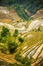 Taking water into terraced fields in La Pan Tan Commune, Mu Cang Chai District.