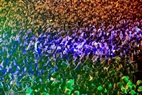 在八月广场上，数万人随着舞台上的狂热舞蹈节奏摇来晃去。毕山 摄