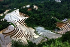 Terraced fields in the shape of the letter “S” in Nam Ty Commune are considered the most beautiful ones in Hoang Su Phi.