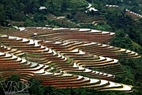 Desde hace tiempo las generaciones han conquistado terrenos de la montaña para crear los maravillosos arrozales. 