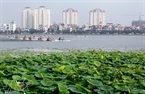 The view of the centre of Hanoi seen from the lotus ponds in Ho Tay area.