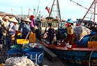 渔民在港上分类海产。