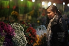 Many Hanoi residents go to Nhat Tan flower market at about 3 am to select fresh flowers.