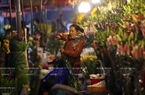 Les lys de la ville Da Lat sont mis en vente au marché aux fleurs de Nhât Tân 