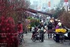 La zone destinée aux  branches de pêcher au marché aux fleurs de Nhât Tân 