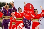 Танцоры Майка (Япония) исполнили традиционные танцы “Yosakoi” - этот танец обязательно входит в программу фестиваля цветения сакуры.