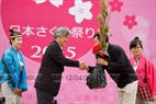 日本送给越南的樱花苗将在河江省种植。	