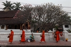 每天清晨6点左右，琅勃拉邦市的僧侣们从寺庙鱼贯而出，赤脚走在大街小巷化缘。