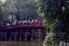 Лагерстремия  цветeт у моста Тхэ Нук.