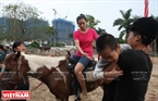 Pour un enfant inhibé, pour la première fois sur le cheval, leur parents peuvent monter ou conduire le cheval avec lui. Photo: Công Dat 