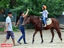 自閉症の子供に対する重要なことは集中させることである。コーチは子供たちが馬に乗るための集中を援助する。撮影：コン・ダット