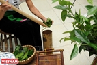 Con una distinguida representación de "Golpeando el té verde" (una forma tradicional de preparación del té de los Thai en Quy Hop- Nghe An), la concursante Tran Thi Ly impersionó al jurado. Foto: Tran Thanh Giang