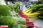 Swiss chard is ready for sale. 