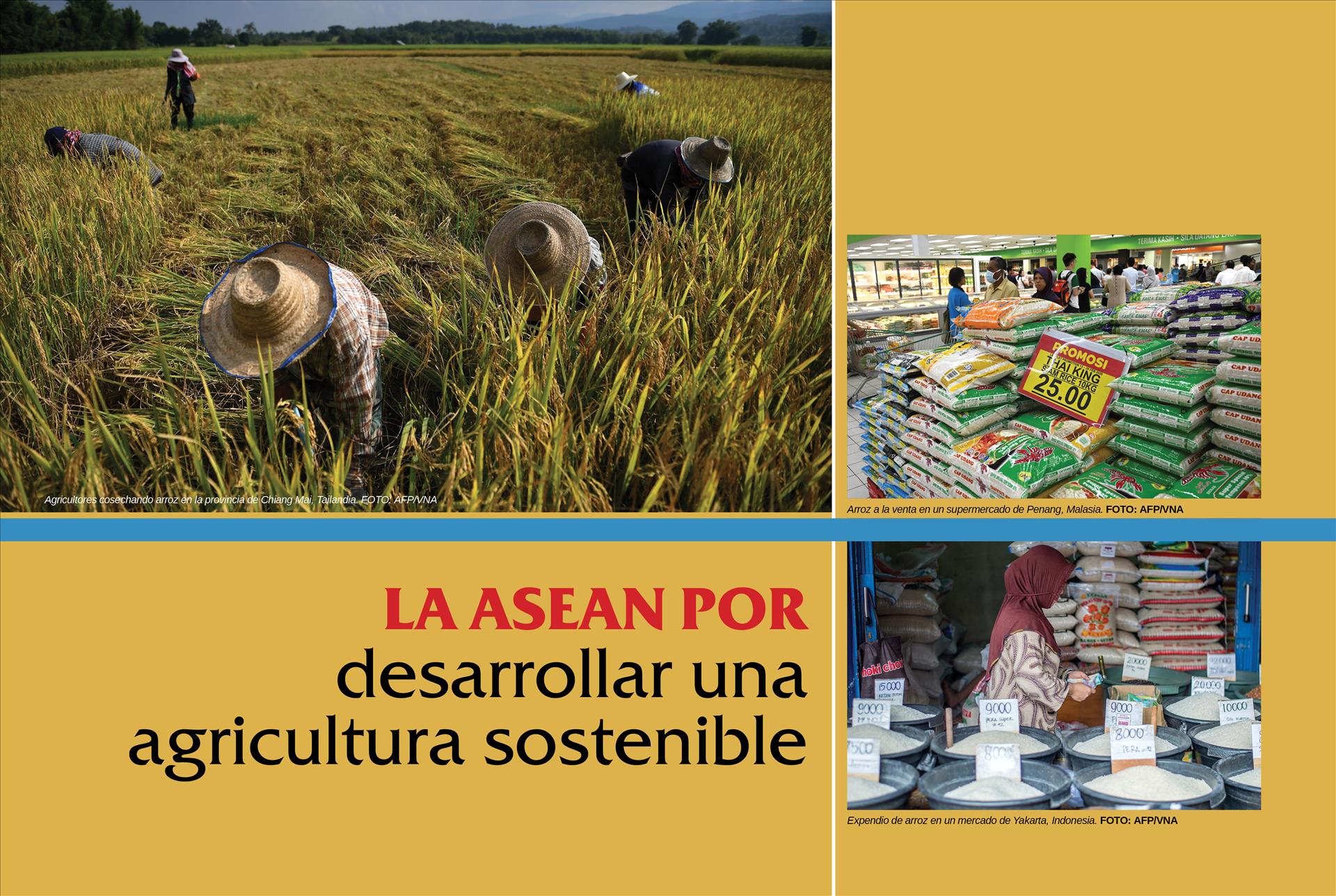 La Asean Por Desarrollar Una Agricultura Sostenible