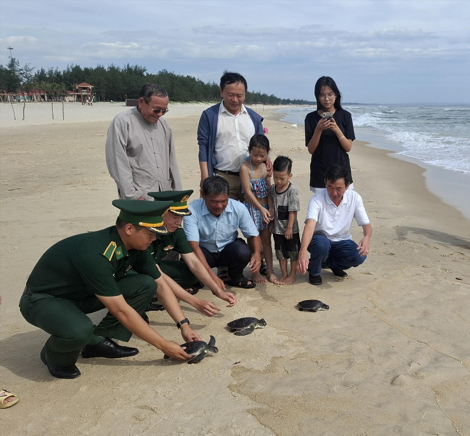 Quang Tri authorities release three endangered sea turtles back to the wild