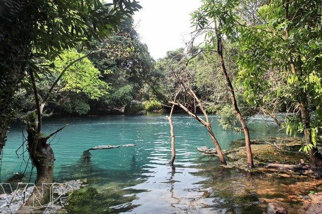 碧绿的莫溪生态旅游区