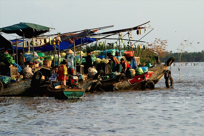 九龙江平原生活着近2000万人.越南画报资料