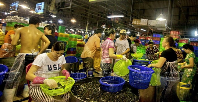 Chợ đầu mối Bình Điền - Báo ảnh Việt Nam