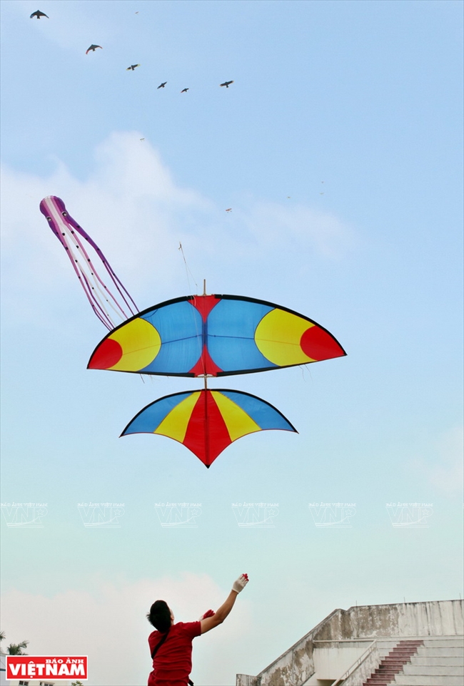 Bạn đã từng thấy một chú diều sáo bay lượn trên bầu trời xanh trong một ngày đẹp trời chưa? Hãy đến xem bức ảnh về diều sáo và cảm nhận sự thanh thản khi nhìn chúng bay lượn trên không.