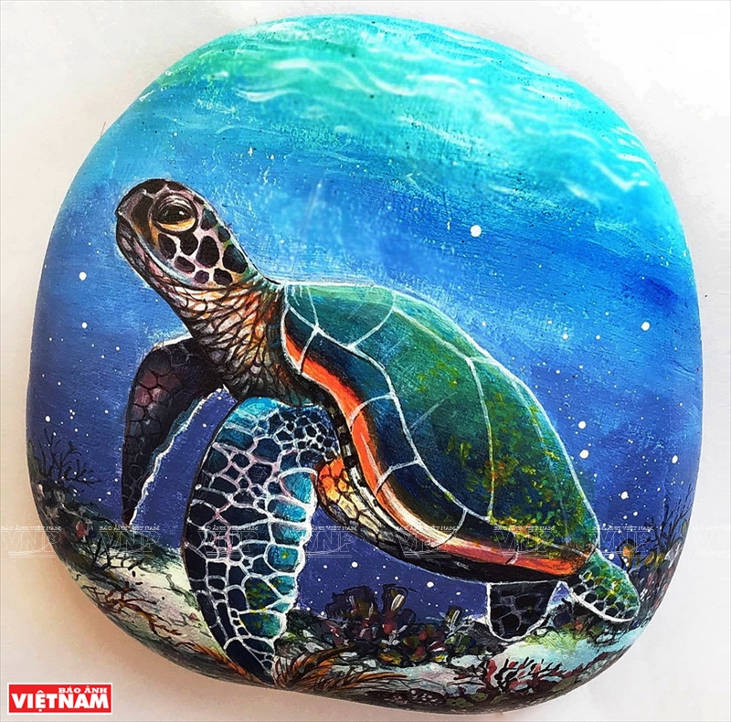 Vẽ rùa biển bằng bút chì  vnHowvn