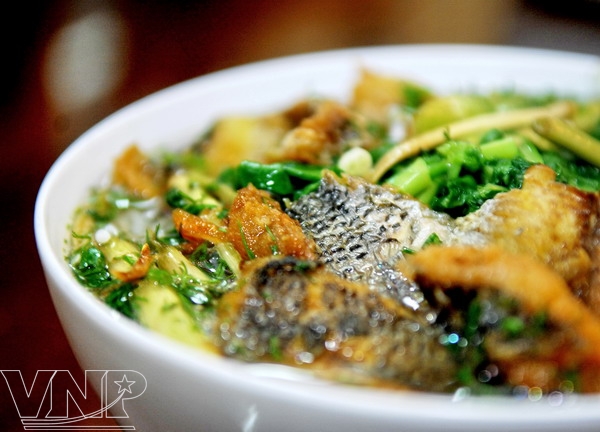 キノボリウオ 木登り魚 のブン ベトナムフォトジャーナル