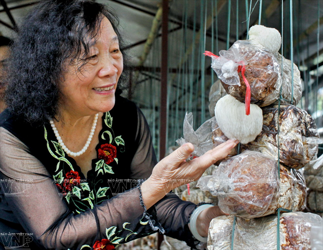Vietnam’s “Mushroom Queen”