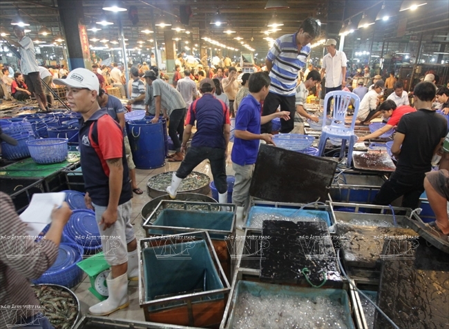 Chá»£ Ä'áº§u Má»'i Binh Ä'iá»n Bao áº£nh Viá»‡t Nam