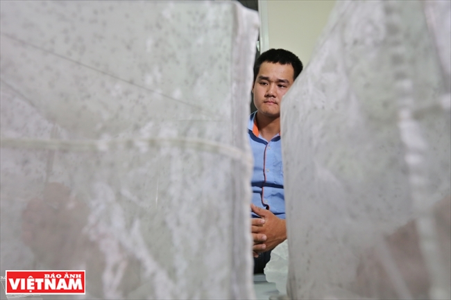 养蚊防控登革热病